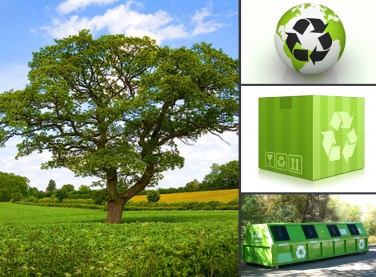 Recycling bin, Trees, recycle goods, go green, recycle boxes